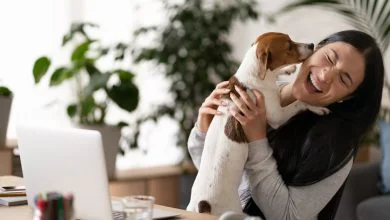 perro / perros