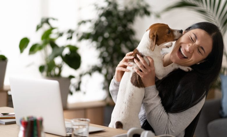 perro / perros