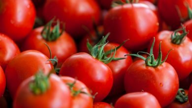 frutas - cáncer de mama - comer tomates / tomate