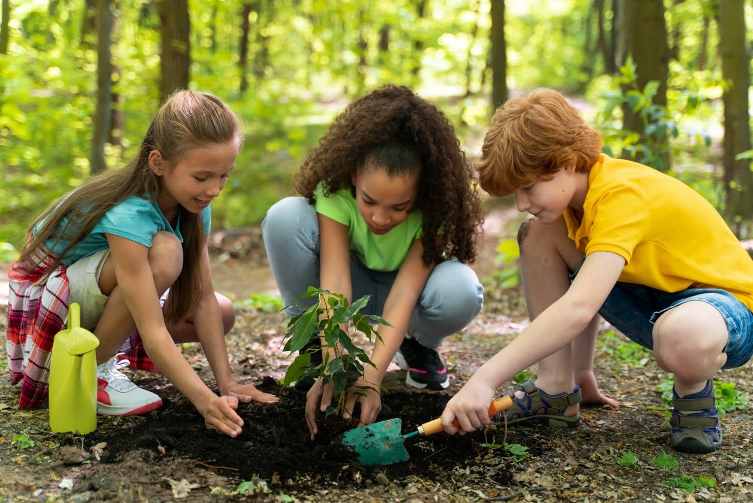 La Importancia De Enseñar A Los Niños A Cuidar El Medio Ambiente