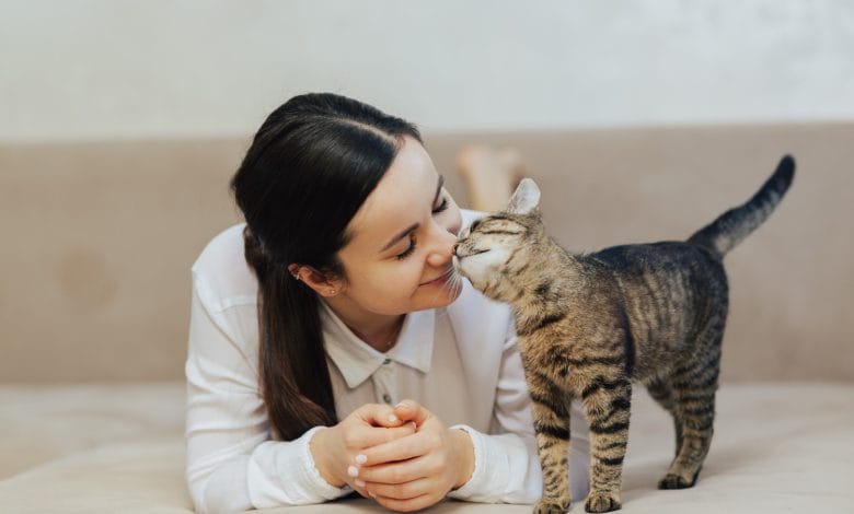 gatos / dueños de gatos / razas de gatos - duerme con su gato