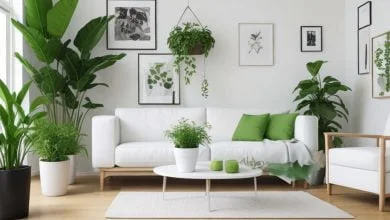 5 plantas para decorar la sala de tu casa - plantas que absorben el calor / tu casa huela siempre bien / Airbnb