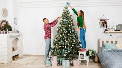 árbol de navidad / quitar la decoración navideña